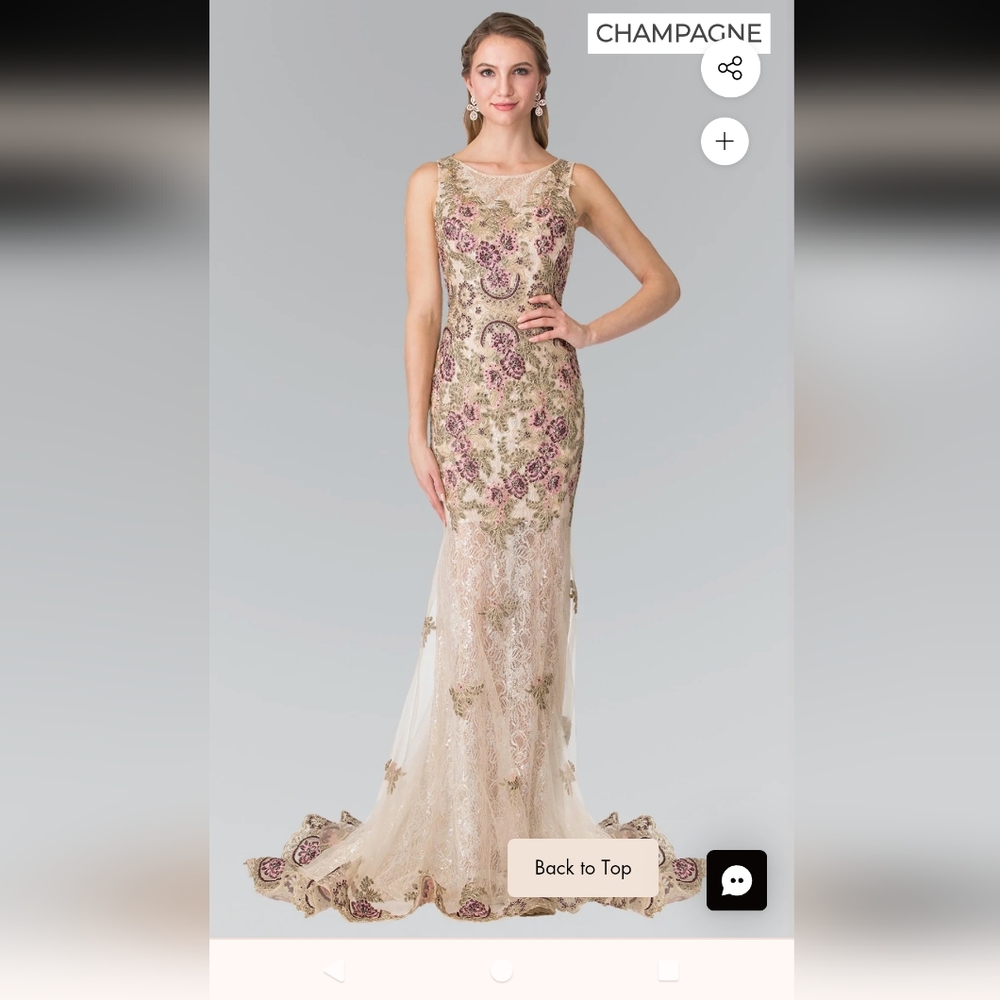 Elizabeth K GL2269  Elegant Beaded Lace Embroidery Floral Sleeveless Dress Sz Lg - Picture 17 of 17